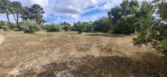 Terreno para Venda em Quinta do Anjo