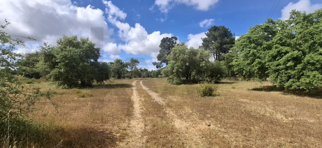 Terreno para Venda em Quinta do Anjo Foto 2