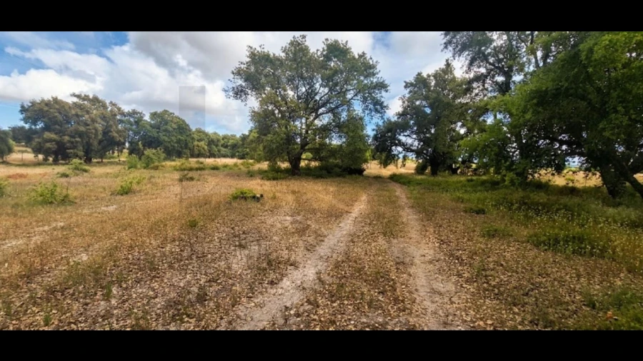 Terreno para Venda em Quinta do Anjo