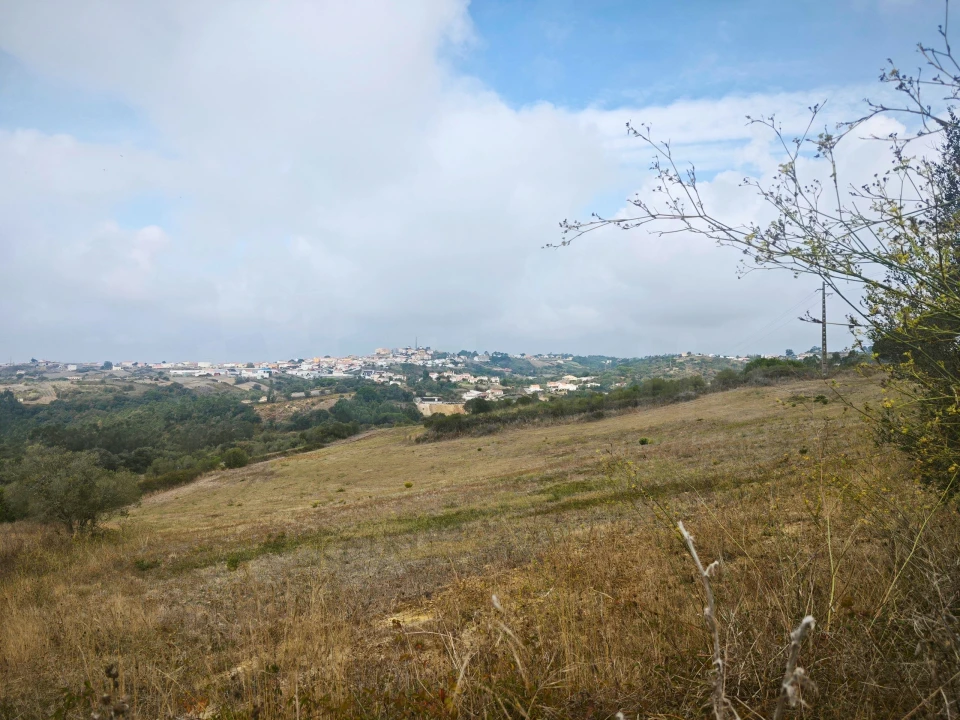 Terreno para Venda em Igreja Nova e Cheleiros Foto 17