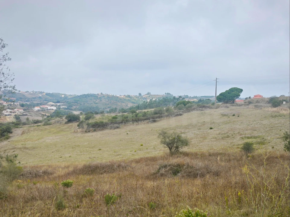 Terreno para Venda em Igreja Nova e Cheleiros Foto 13