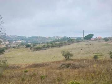 Terreno para Venda em Igreja Nova e Cheleiros