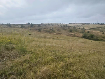 Terreno para Venda em Igreja Nova e Cheleiros