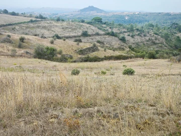 Terreno para Venda em Igreja Nova e Cheleiros