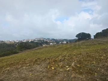Terreno para Venda em Igreja Nova e Cheleiros