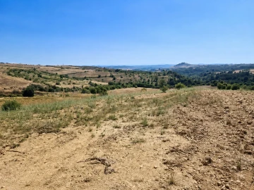 Terreno para Venda em Igreja Nova e Cheleiros