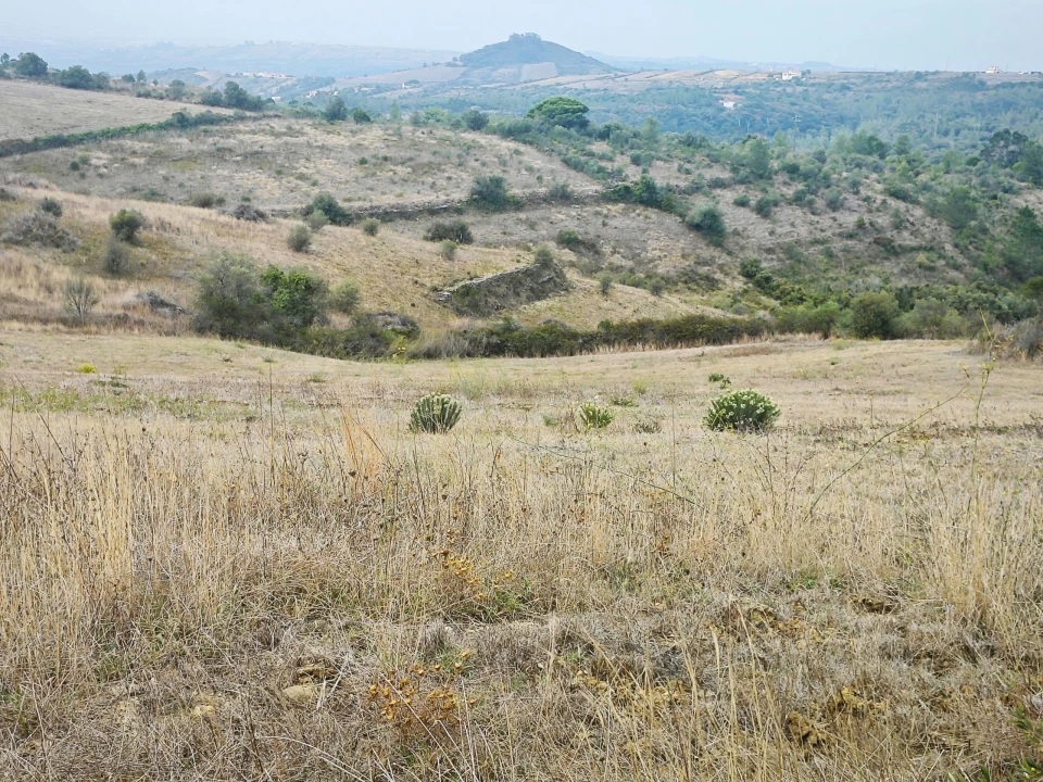 Terreno para Venda em Igreja Nova e Cheleiros Foto 16