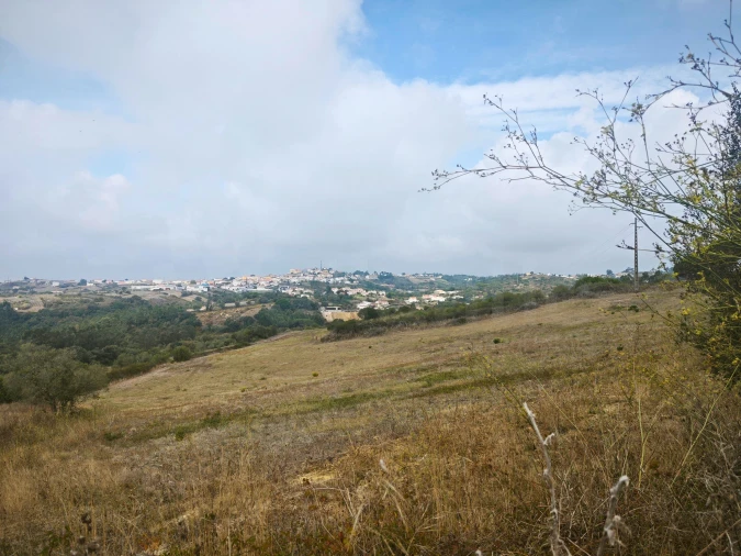 Terreno para Venda em Igreja Nova e Cheleiros Foto 17