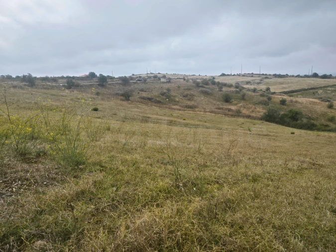 Terreno para Venda em Igreja Nova e Cheleiros Foto 14