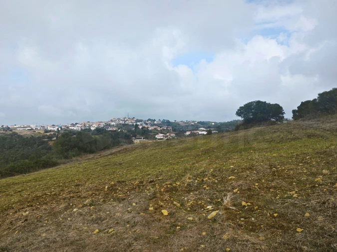 Terreno para Venda em Igreja Nova e Cheleiros Foto 15