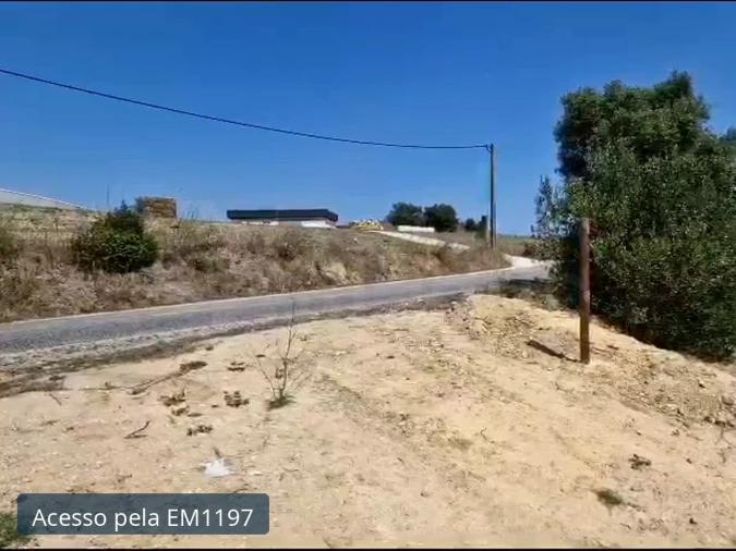 Terreno para Venda em Igreja Nova e Cheleiros Foto 5