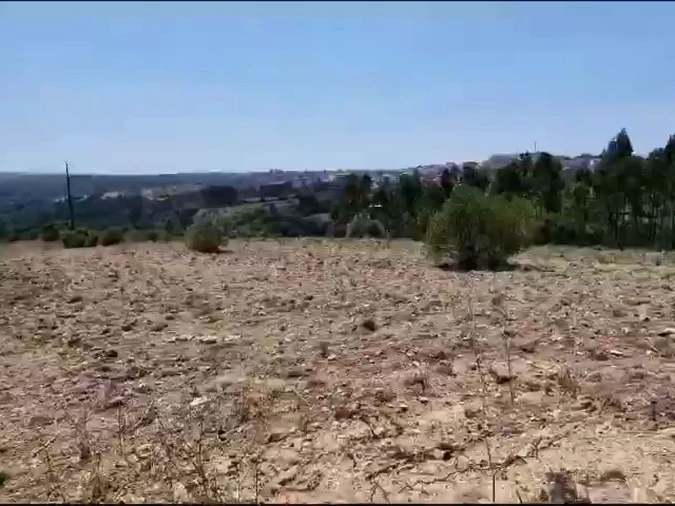 Terreno para Venda em Igreja Nova e Cheleiros Foto 12