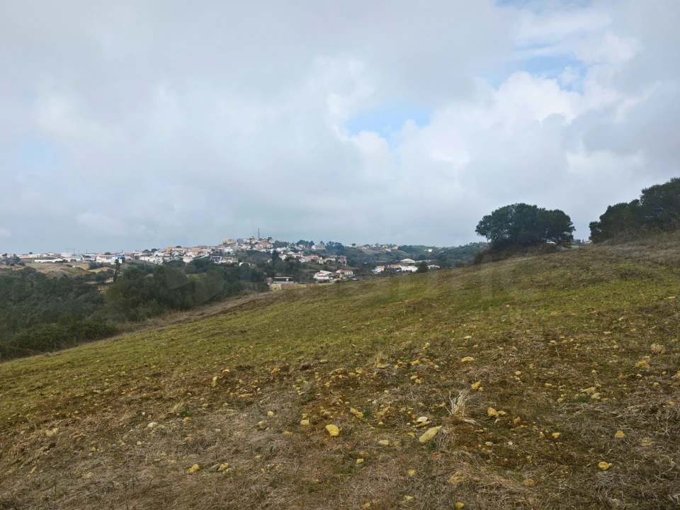 Terreno para Venda em Igreja Nova e Cheleiros Foto 15