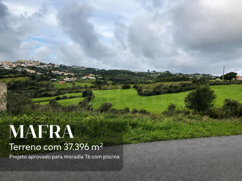 Terreno para Venda em Igreja Nova e Cheleiros Foto 1