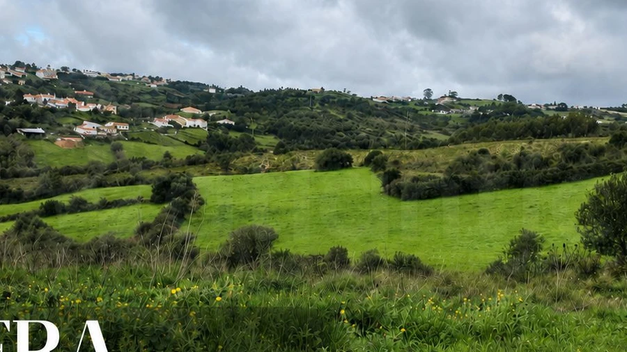 Terreno para Venda em Igreja Nova e Cheleiros