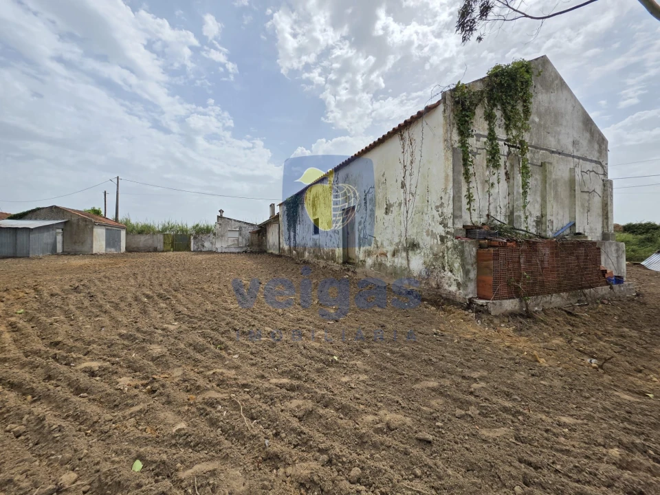 Moradia T2 para Venda em Moita dos Ferreiros Foto 1