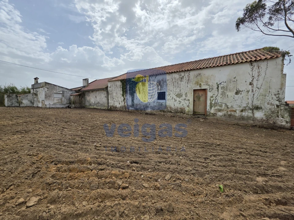 Moradia T2 para Venda em Moita dos Ferreiros Foto 4