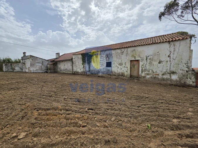 Moradia T2 para Venda em Moita dos Ferreiros Foto 4