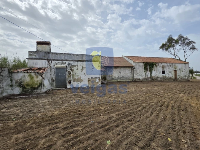 Moradia T2 para Venda em Moita dos Ferreiros Foto 13