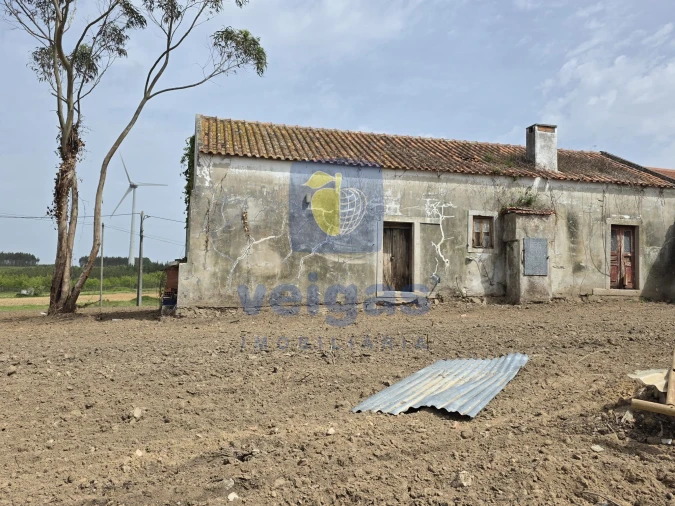 Moradia T2 para Venda em Moita dos Ferreiros Foto 12