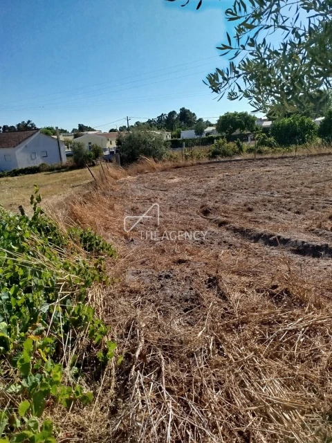 Terreno para Venda em Vale da Pedra