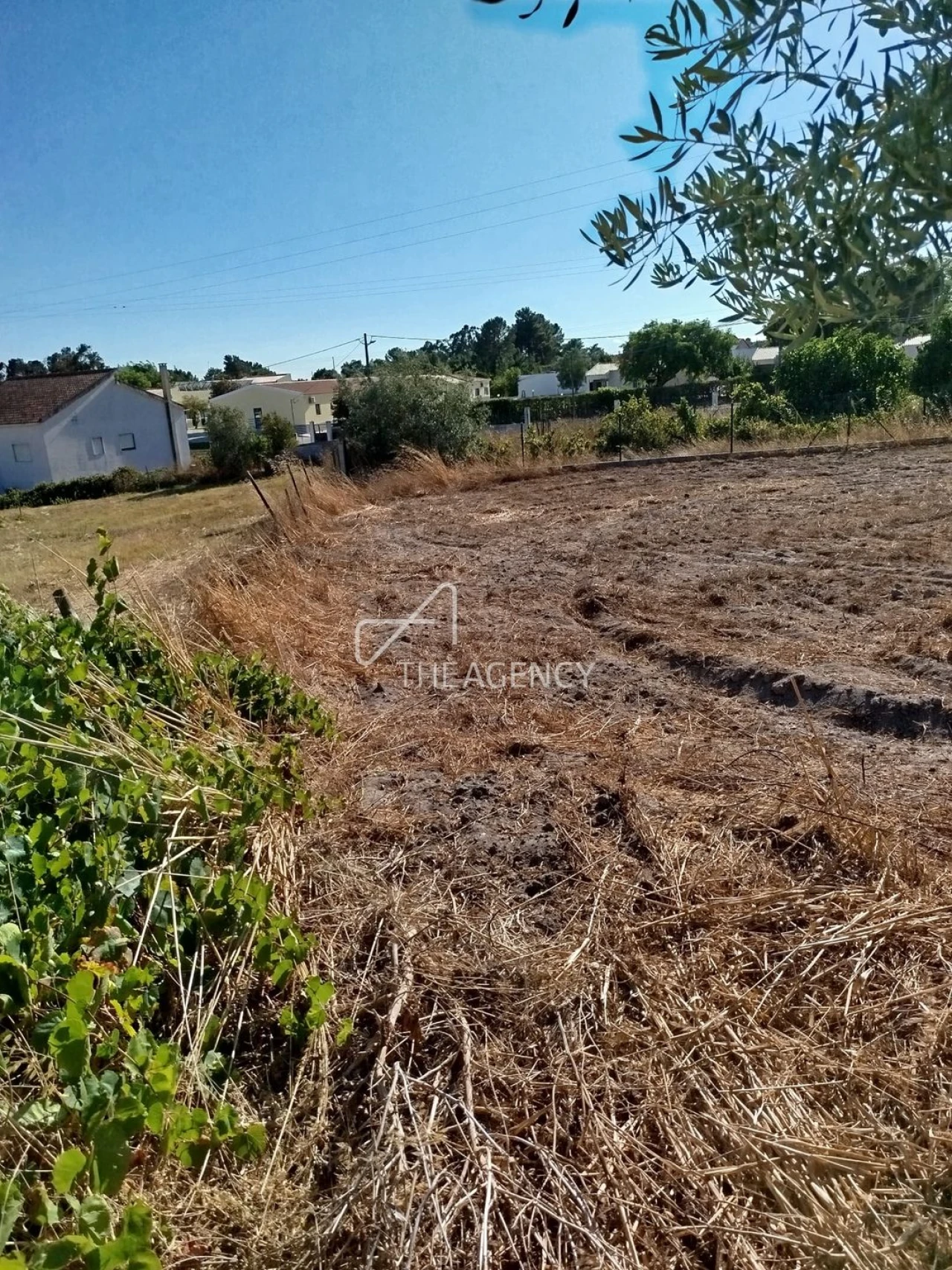 Terreno para Venda em Vale da Pedra Foto 7