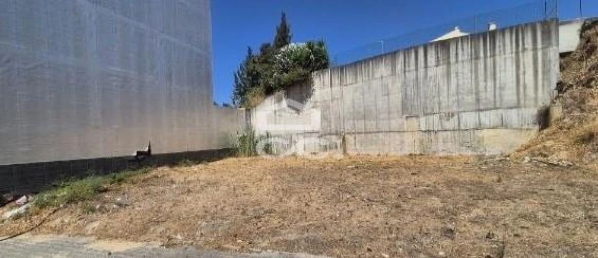 Terreno para Venda em Vila Nova da Barquinha Foto 5