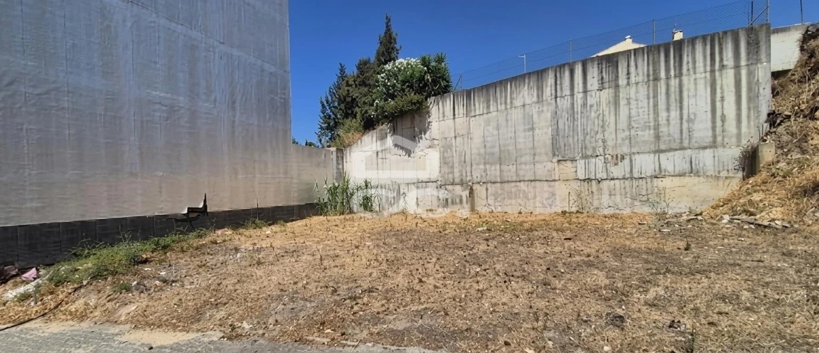 Terreno para Venda em Vila Nova da Barquinha Foto 15