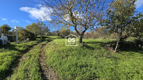 Moradia T3 para Venda em Guarda