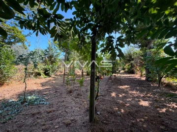 Terreno Agricola ou Rústico para Venda em São João de Rei