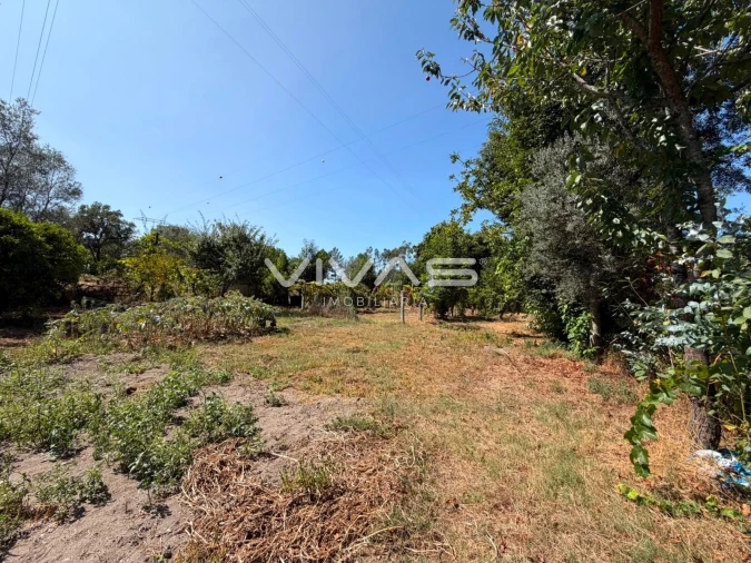 Terreno Agricola ou Rústico para Venda em São João de Rei Foto 12