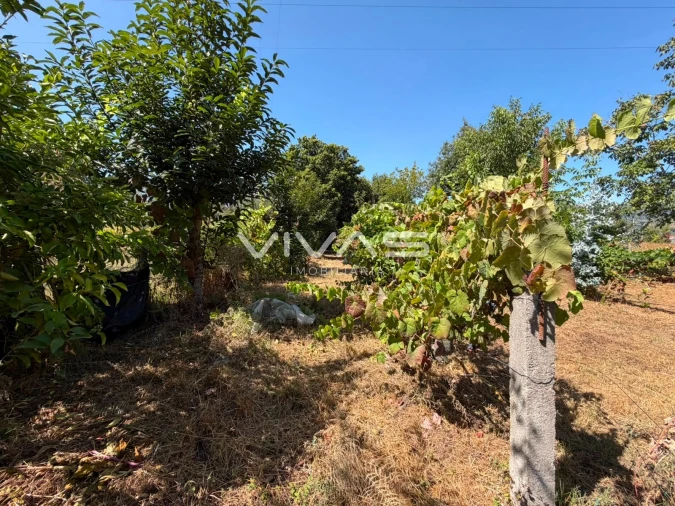 Terreno Agricola ou Rústico para Venda em São João de Rei Foto 8