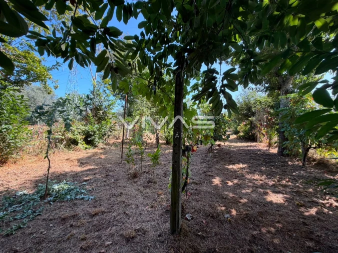 Terreno Agricola ou Rústico para Venda em São João de Rei Foto 4