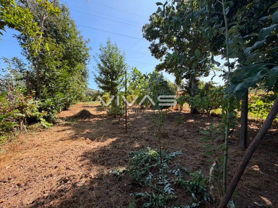 Terreno Agricola ou Rústico para Venda em São João de Rei Foto 5