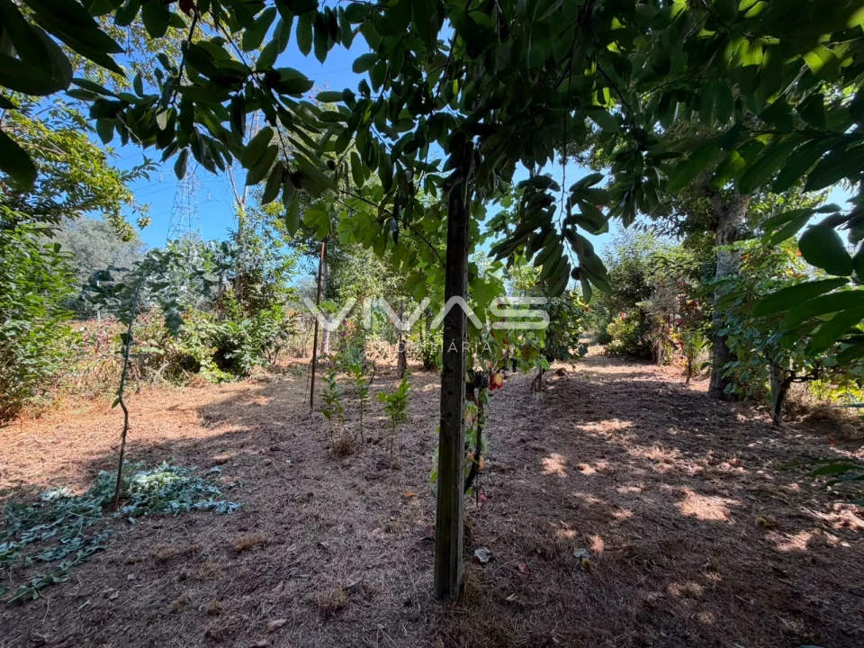 Terreno Agricola ou Rústico para Venda em São João de Rei Foto 4