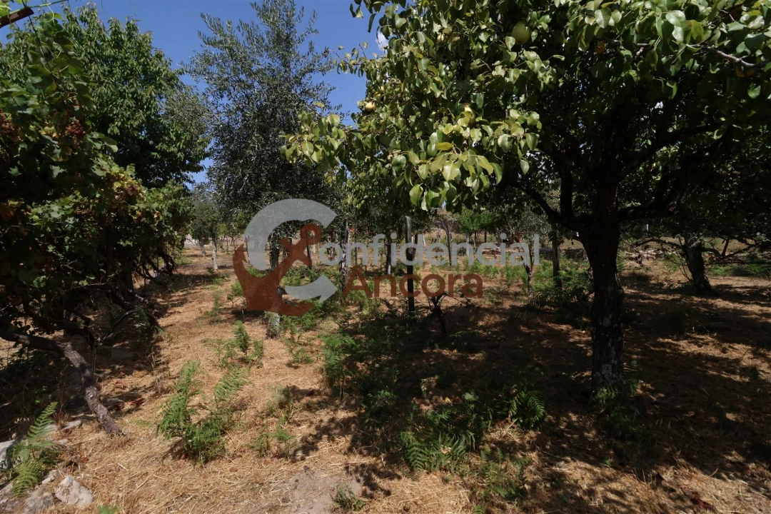 Moradia T3 para Venda em Santa Marinha e São Martinho Foto 36