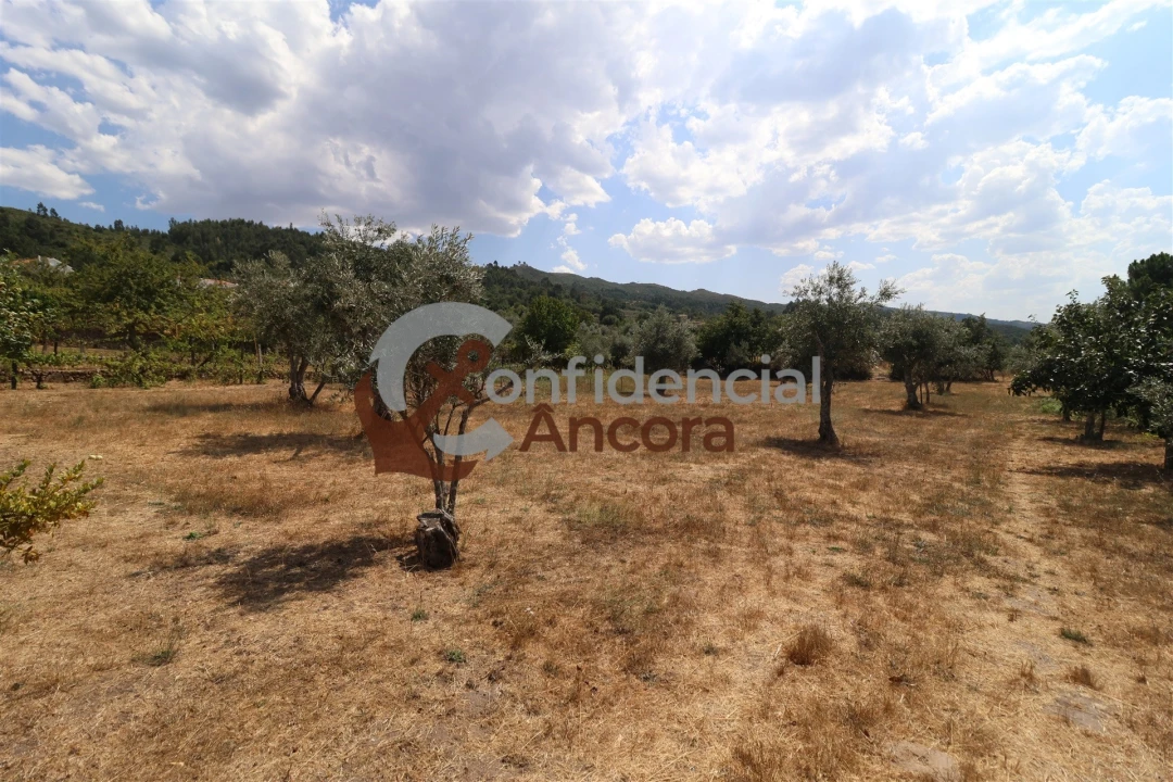 Moradia T3 para Venda em Santa Marinha e São Martinho Foto 31