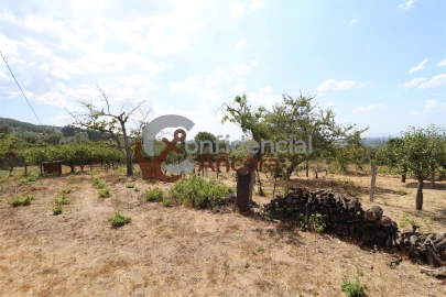 Moradia T3 para Venda em Santa Marinha e São Martinho