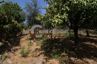 Moradia T3 para Venda em Santa Marinha e São Martinho