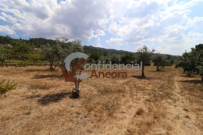 Moradia T3 para Venda em Santa Marinha e São Martinho