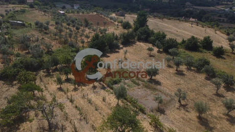 Moradia T3 para Venda em Santa Marinha e São Martinho