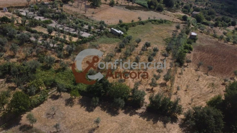 Moradia T3 para Venda em Santa Marinha e São Martinho