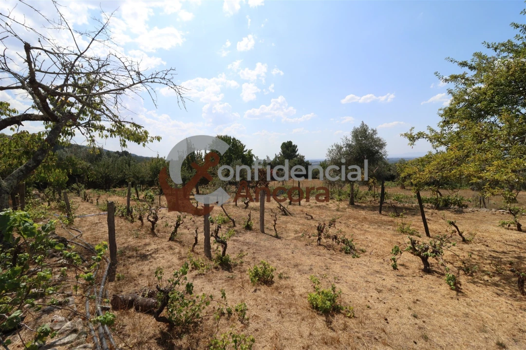 Moradia T3 para Venda em Santa Marinha e São Martinho Foto 42