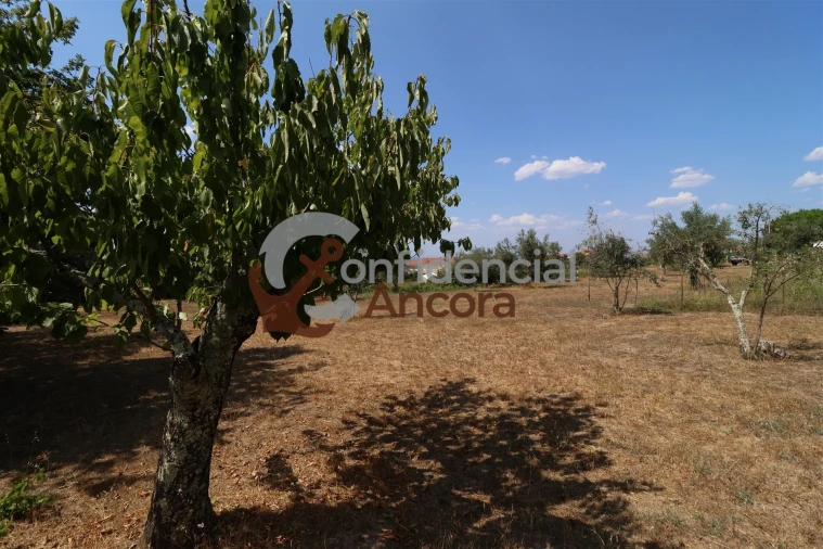 Moradia T3 para Venda em Santa Marinha e São Martinho Foto 35