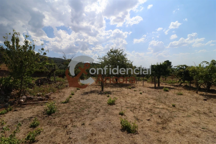 Moradia T3 para Venda em Santa Marinha e São Martinho Foto 49