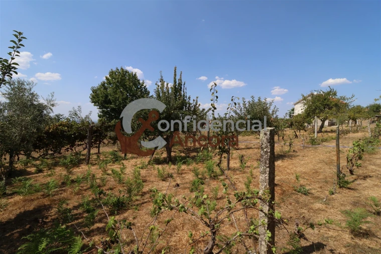 Moradia T3 para Venda em Santa Marinha e São Martinho Foto 38