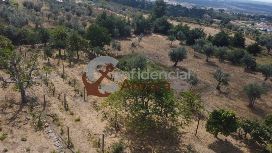 Moradia T3 para Venda em Santa Marinha e São Martinho Foto 65