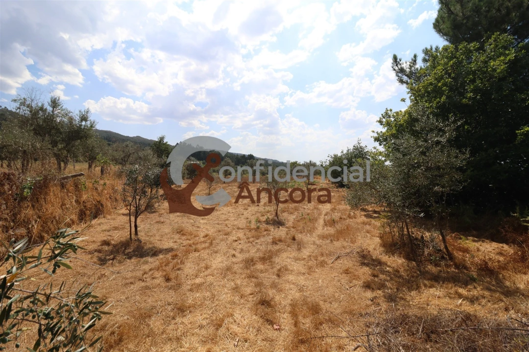 Moradia T3 para Venda em Santa Marinha e São Martinho Foto 33