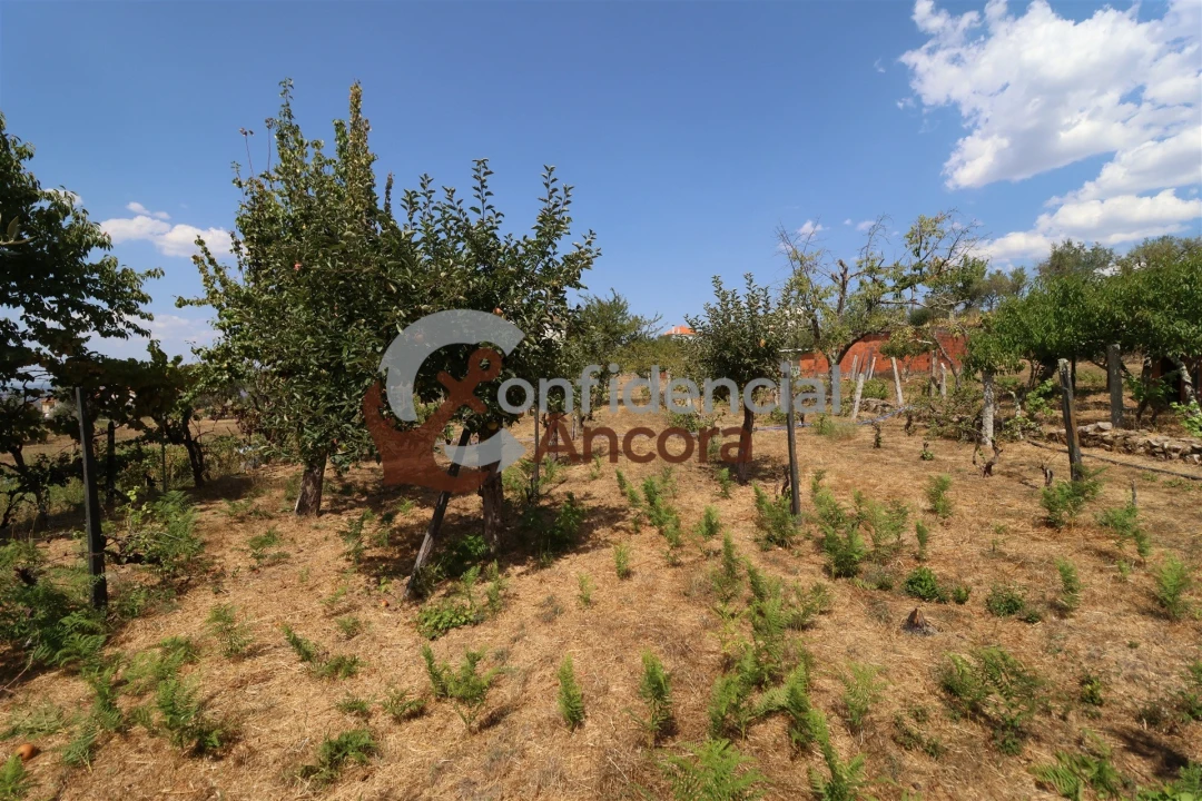 Moradia T3 para Venda em Santa Marinha e São Martinho Foto 37