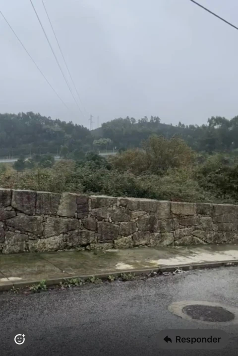 Terreno para Venda em Ferreira